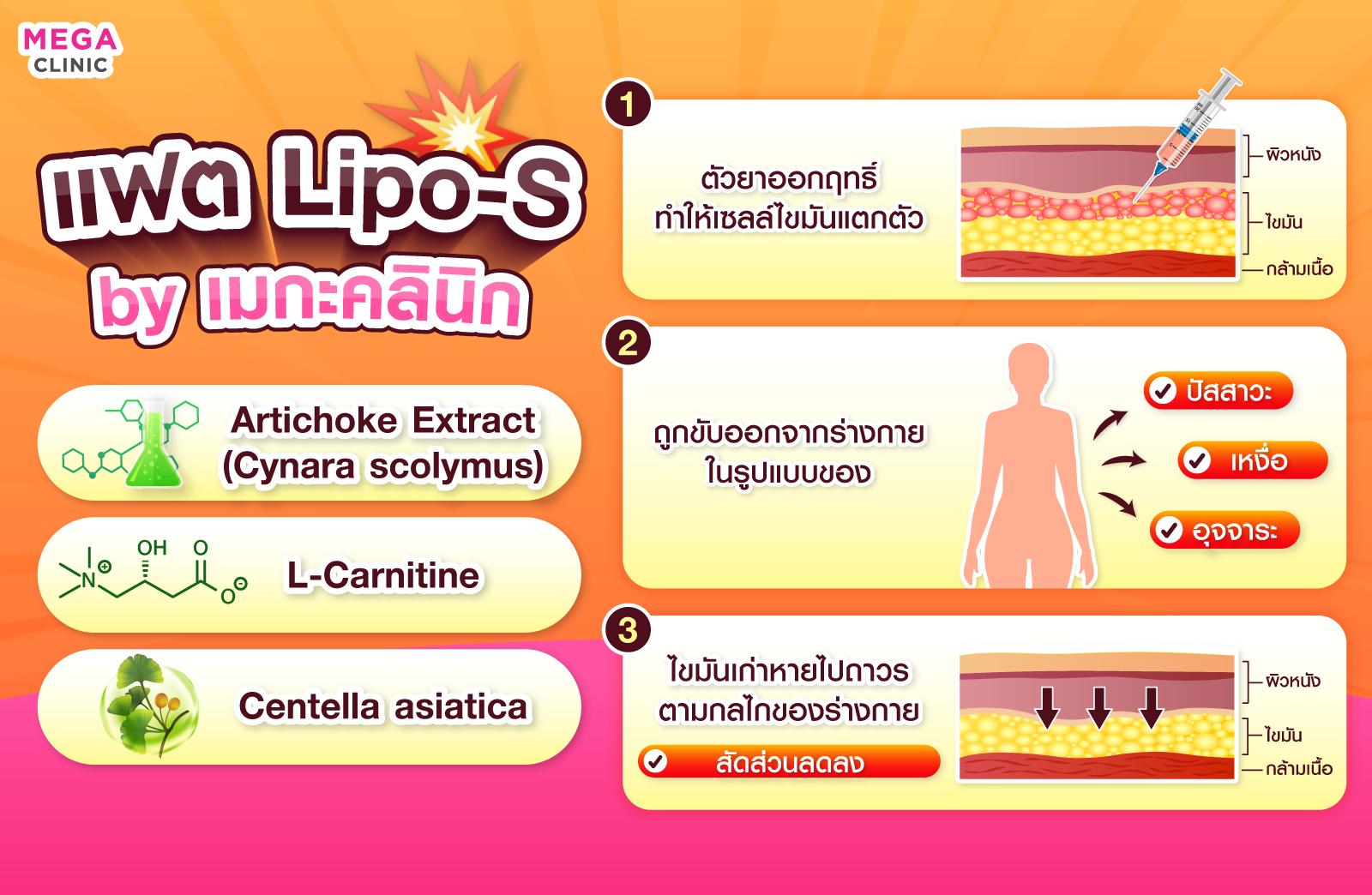 แฟตสลายไขมัน สูตร Lipo-S เมกะ คลินิก