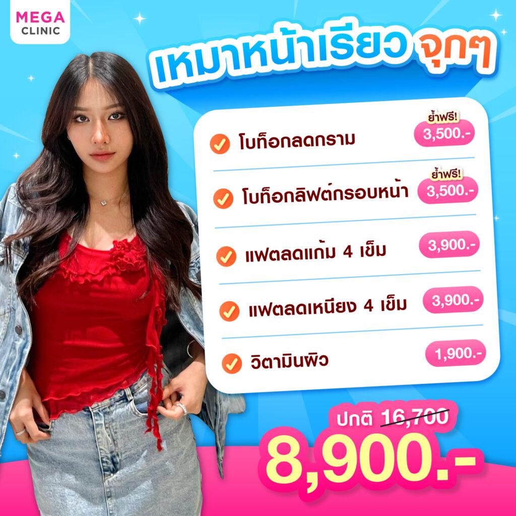 โปรโมชั่น MEGA CLINIC