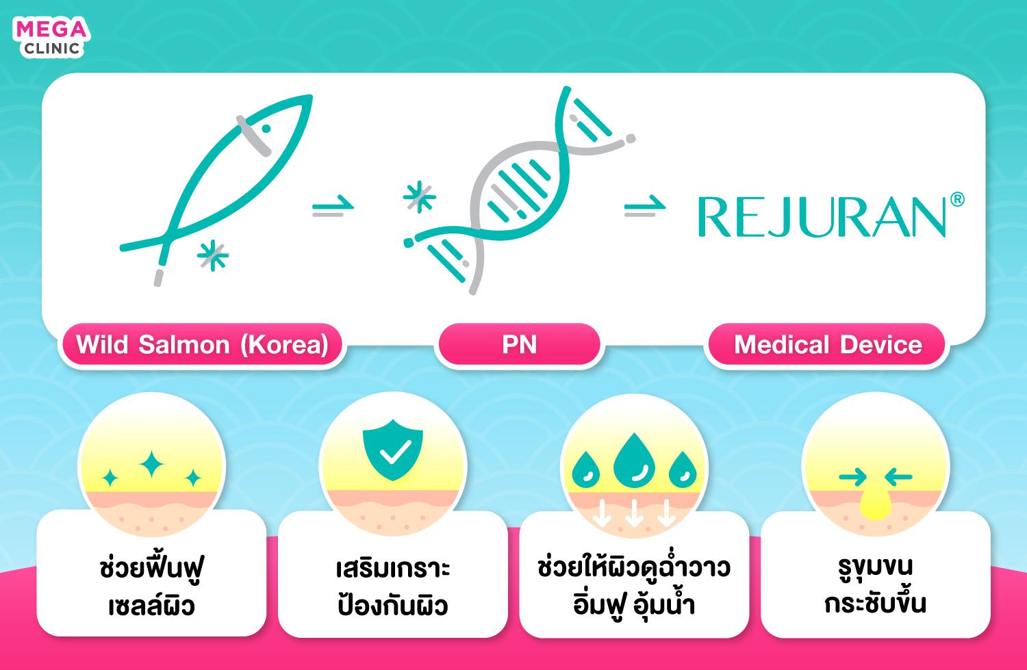 การออกฤทธิ์ของ Rejuran