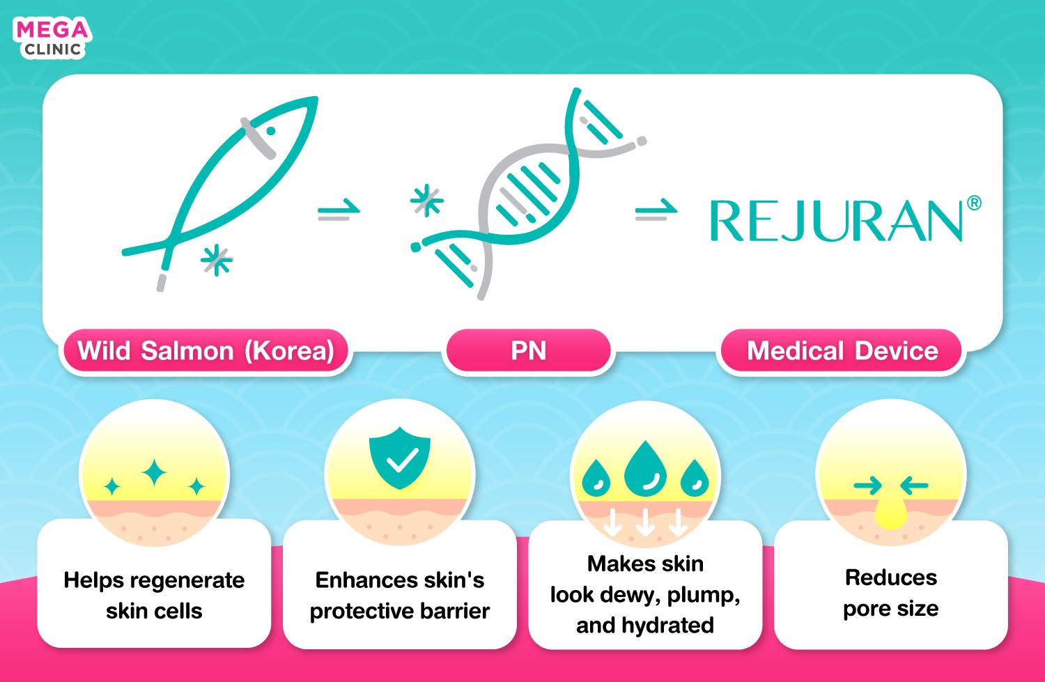 การออกฤทธิ์ของ Rejuran