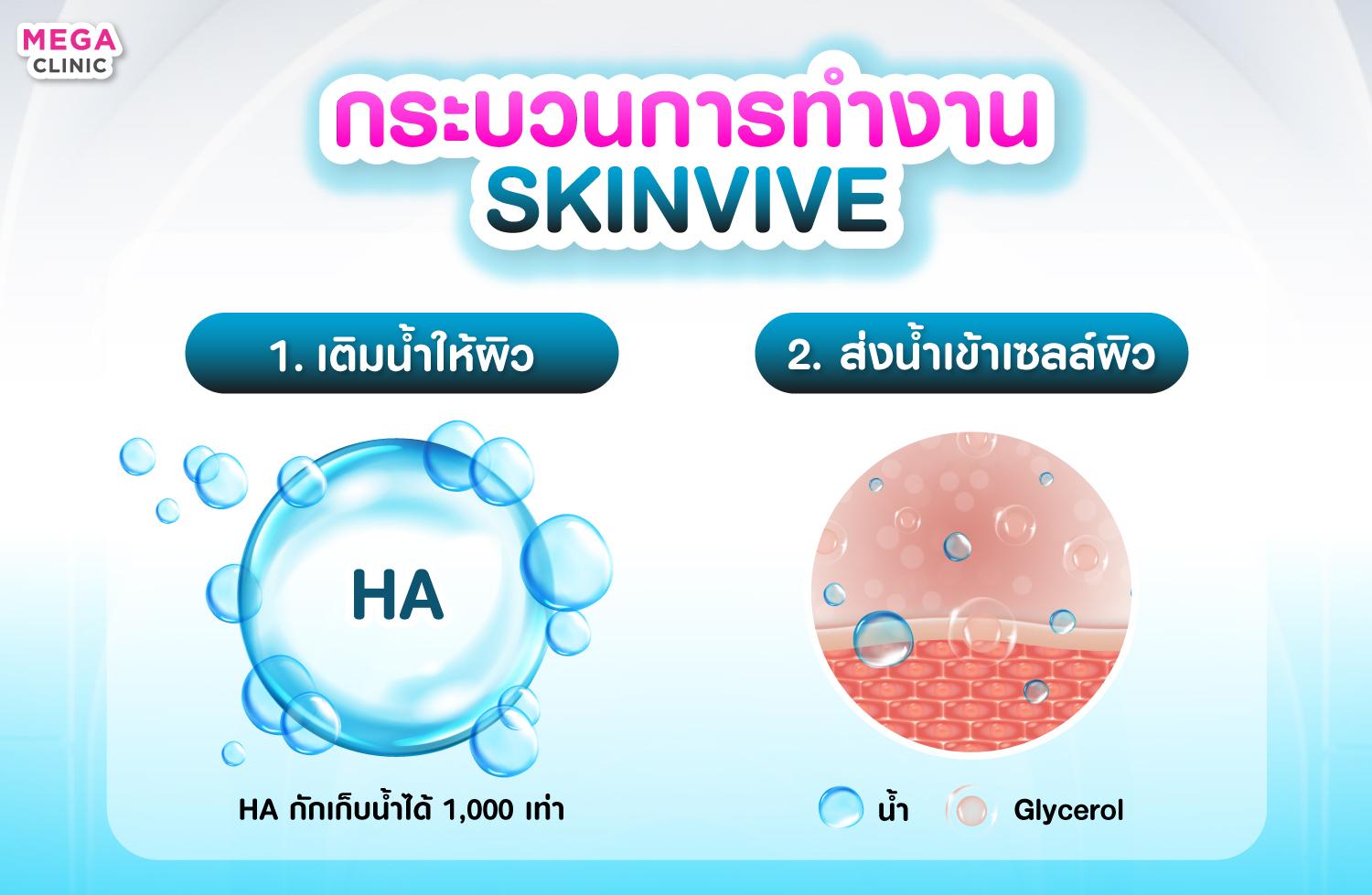 กระบวนการทำงาน Skinvive