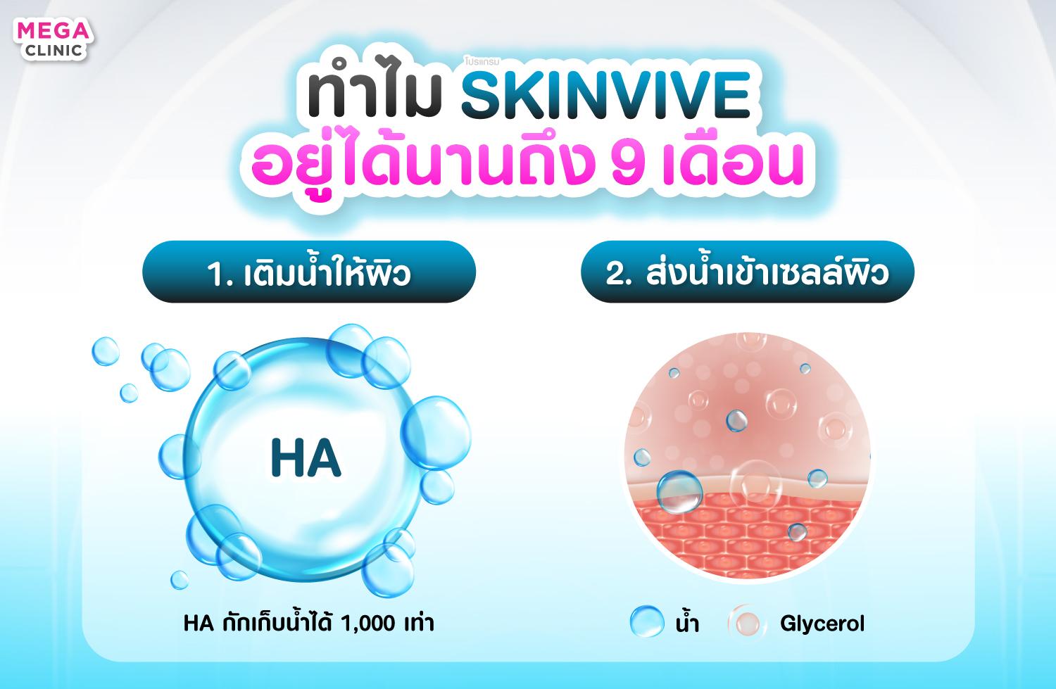 กระบวนการทำงาน Skinvive