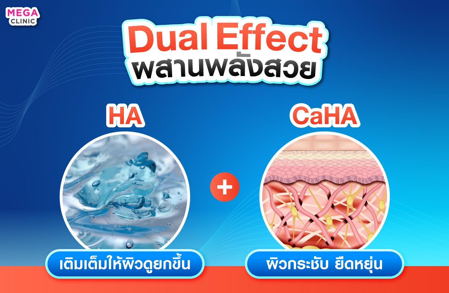 HArmonyCa ส่วนประกอบ ไฮยาลูรอน แคลเซียม ไฮดรอกซีอะพาไทต์