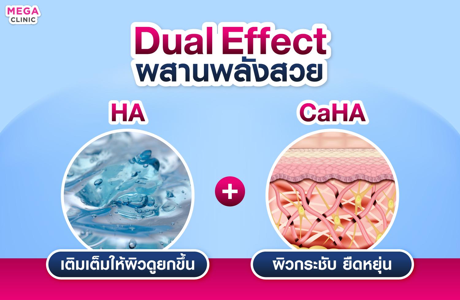 ส่วนประกอบใน HArmonyCa