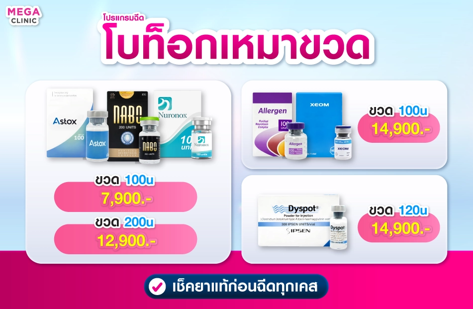 โบท็อกออฟฟิศซินโดรม ราคาและโปรโมชั่น
