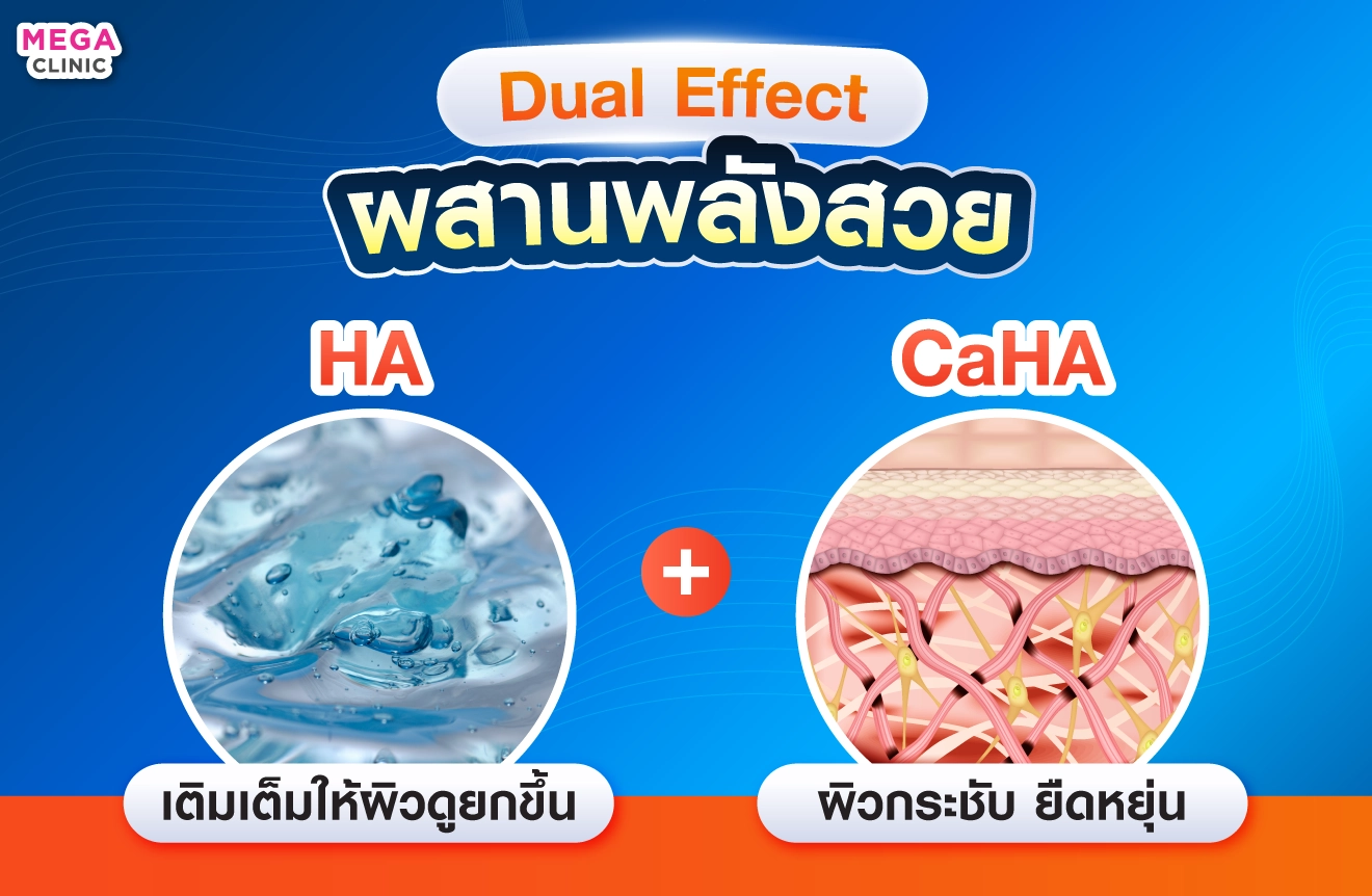 HArmonyCaประกอบด้วย