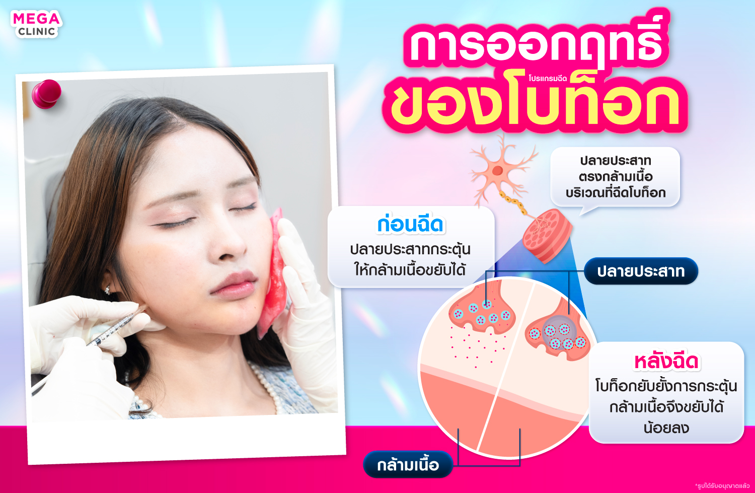 โบท็อกคืออะไร
