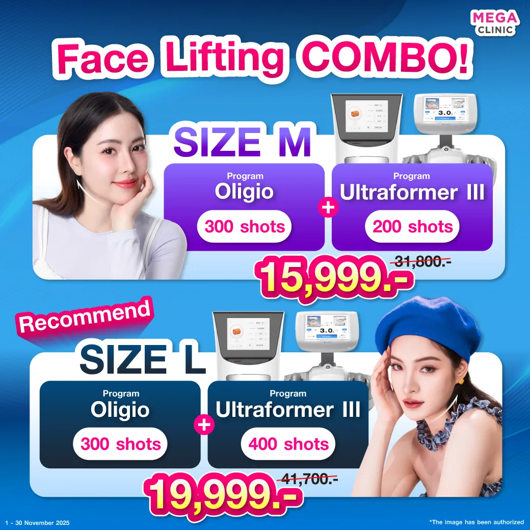 Web11_แปล_07112025_Mickey_1_result