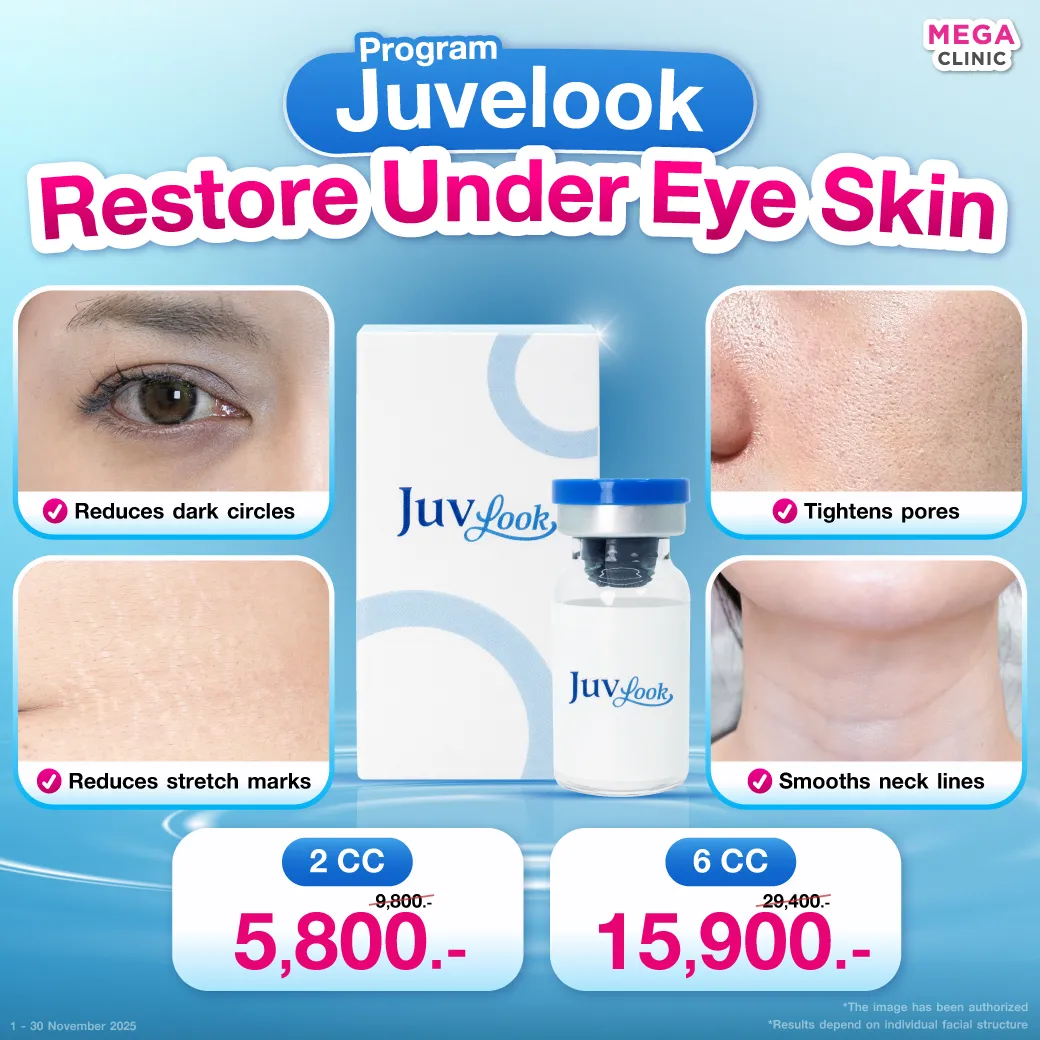 Web14_แปล_07112025_Mickey_1_result