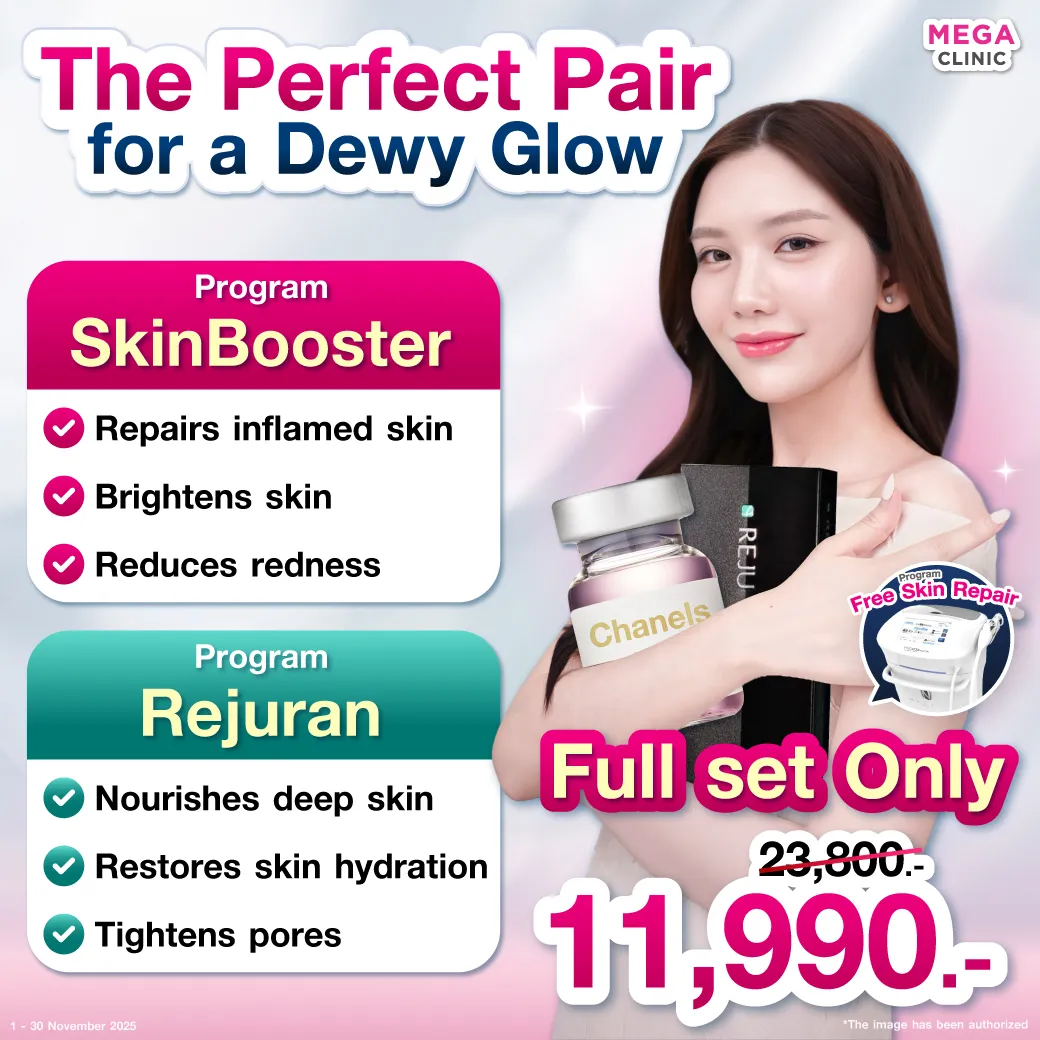 Web6_แปล_07112025_Mickey_1_result