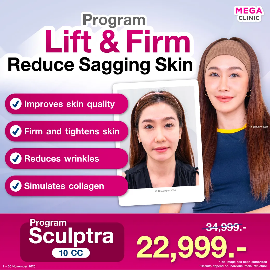 Web9_แปล_07112025_Mickey_1_result