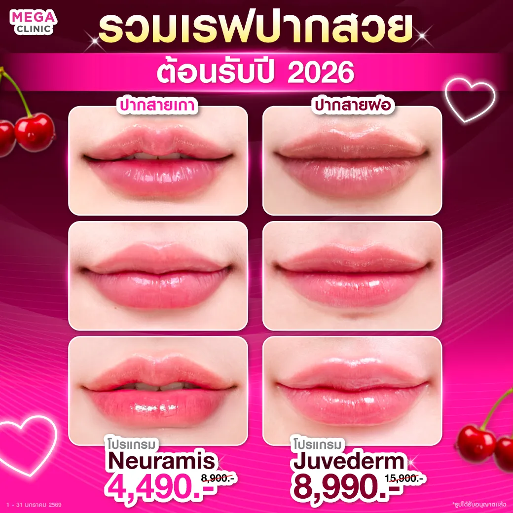 Web_แปล_30122025_Mickey_6_1_result