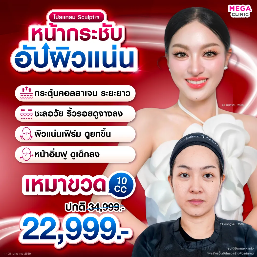 Web_แปล_30122025_Mickey_9_1_result