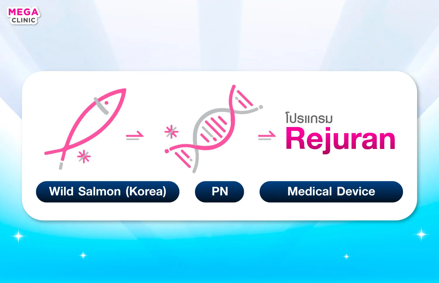 Rejuran ประกอบไปด้วย Polynucleotide (PN)