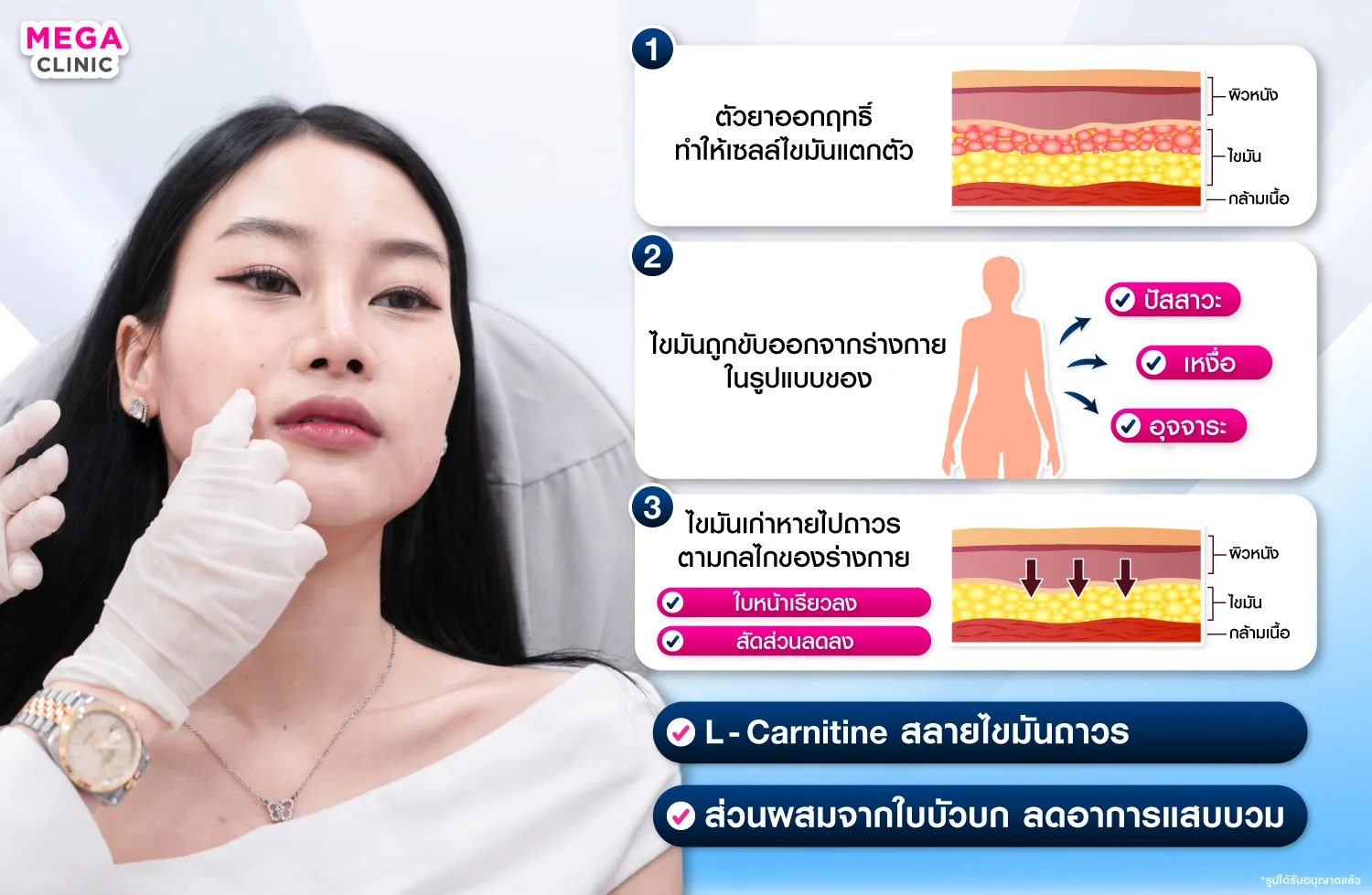 การทำงานของการฉีดเมโสแฟต หรือ L-Carnitine