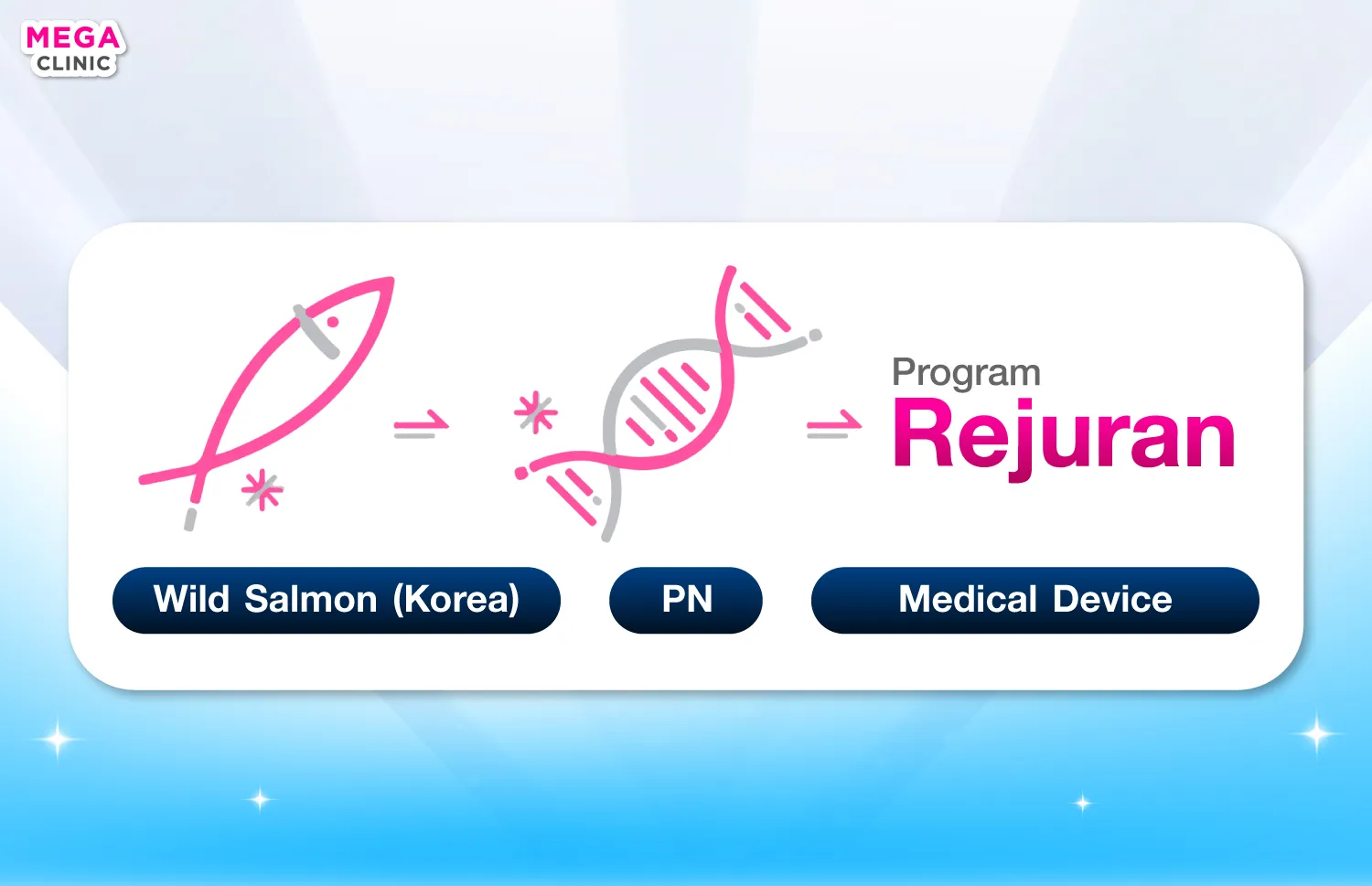 Rejuran ประกอบไปด้วย Polynucleotide (PN)