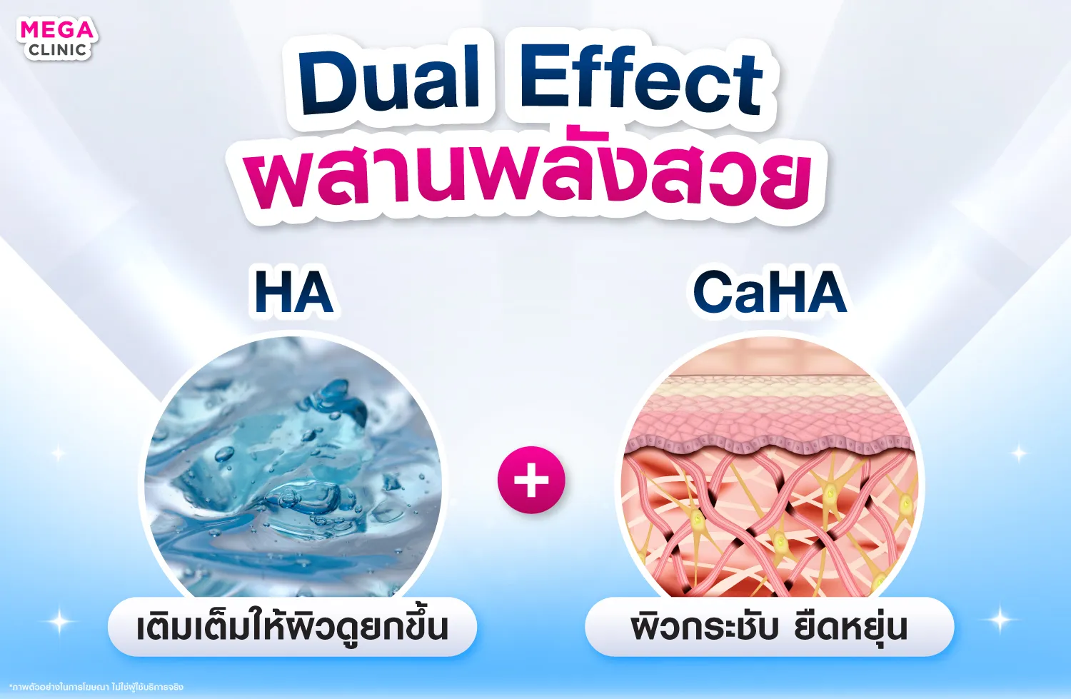 HArmonyCa ประกอบด้วย