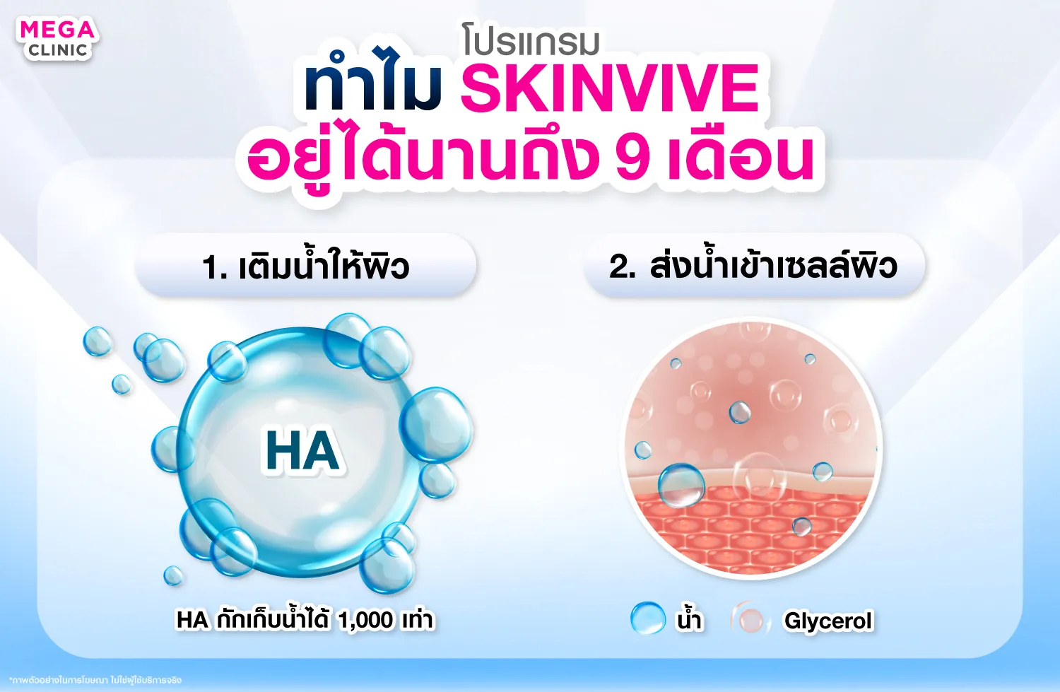 การทำงานของ Skinvive